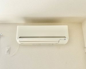 グリーンアヴェニュー古宮 0203号-15