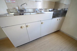 レジデンス友沢 0202号-4