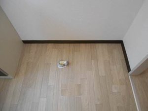 それいゆ弐番館 0102号-7