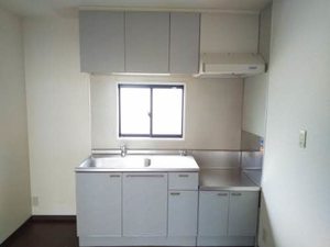 LE HABITAT(ル アビタ) A102号-3