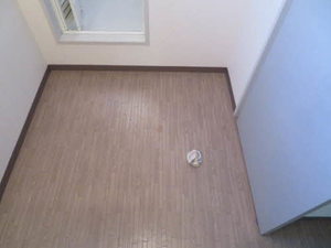 ディアス玉手 0203号-6