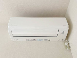 ヴィラ・シャンピニヨンⅡF 0102号-14