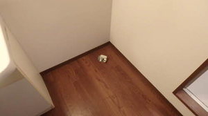 シャーメゾン北野 0201号-11