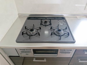 ディアス恵美酒 B202号-5