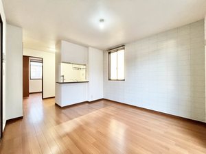 ココナッツハウスⅡ 0101号-2