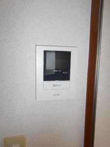 ココナッツハウスⅡ 0202号-12