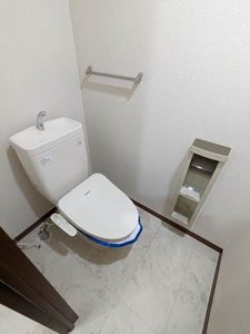 ディアスハリマ B000号-12