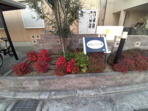 加古川ハイツ峰 0202号-9