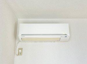 ラ・プラージュ 0202号-12