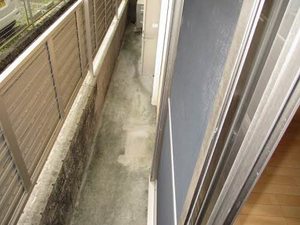 パラッツオ香寺 0105号-13
