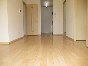 パラッツオ香寺 0205号-6