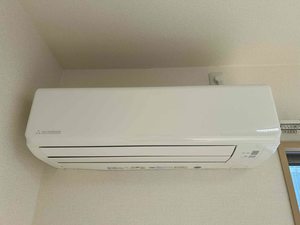 シャーメゾンM 0202号-12