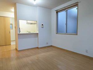 ＰＡＲＡＤＯＲＥＳ（パラドール） B202号-2