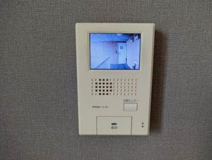 PARADORES(パラドール) C202号-15