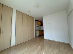 エンカーサ・アイ・寺家町 0305号-2