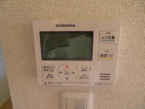 シャーメゾンロージー B101号-9