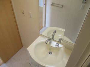 メゾン福渡Ａ 0201号-6