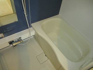 メゾン福渡Ａ 0201号-7