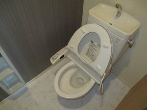 メゾン福渡Ａ 0201号-8