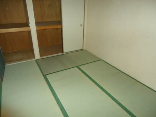 グリーン・ファンタン 0201号-7