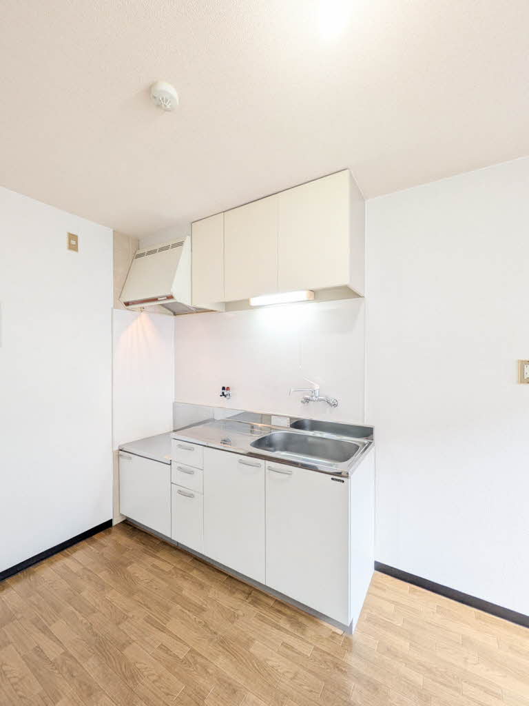 グリーン・ファンタン 0202号-4