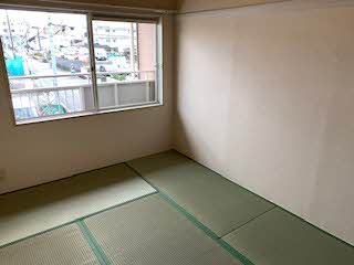 エスコートグリーン A206号-10