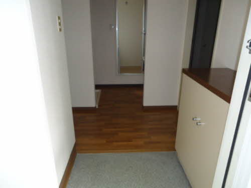 デムール　ノアン A202号-14