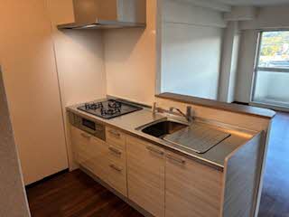 ヒュース一丘弐番館 0706号-3