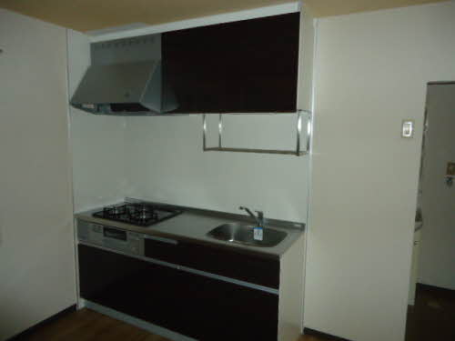 パロアルト A101号-5