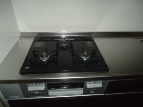 パロアルト A101号-6