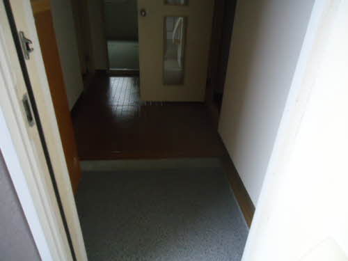 パロアルト A101号-13