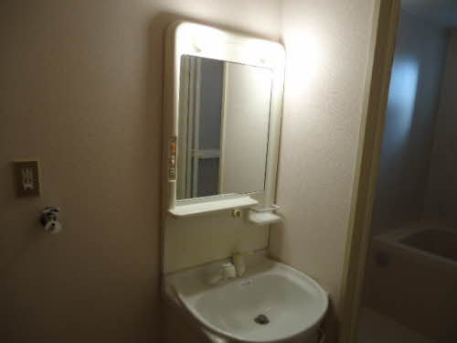 パロアルト A202号-3