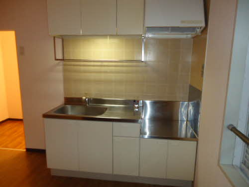 パロアルト A202号-4