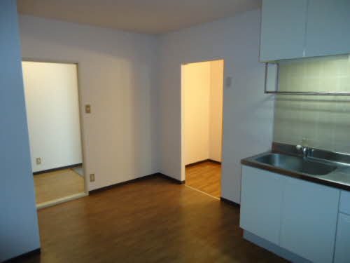 パロアルト A202号-5