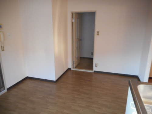 パロアルト A202号-10