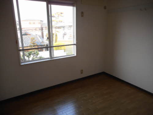 パロアルト A202号-11