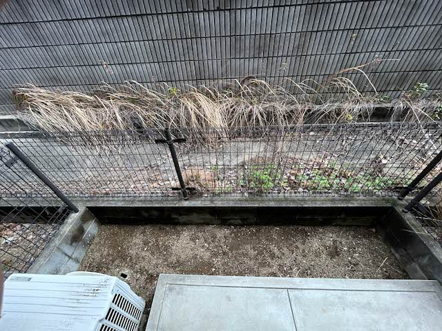 ピースフル B102号-11