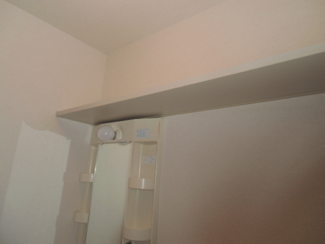 パークハイム 0101号-4