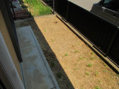 グリーン　オアシス G102号-12