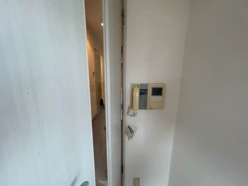 ａ　ｌａ　ｍｏｄｅ　Ｈｉｎｅｎｏ＊ 0601号-11