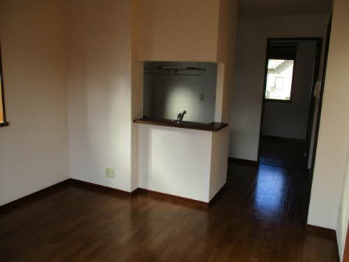 ホフケ 羽衣 C202号-9