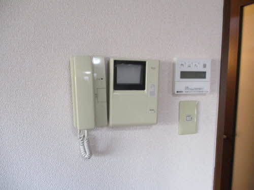 ホフケ 羽衣 C202号-12