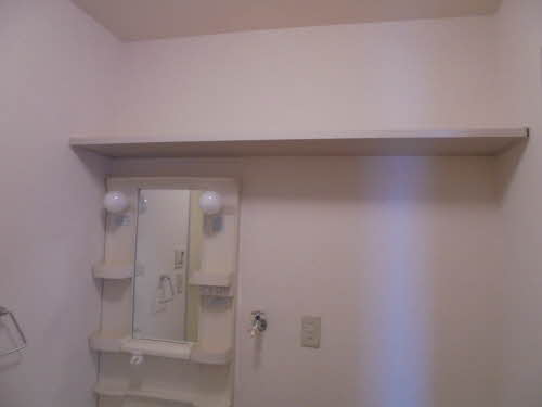 シャトル・ネゴロ 0102号-13