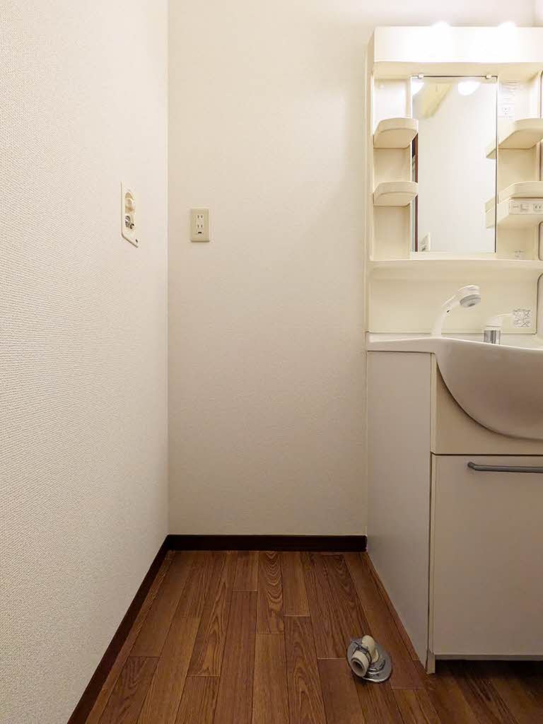 ルビナス 0103号-14