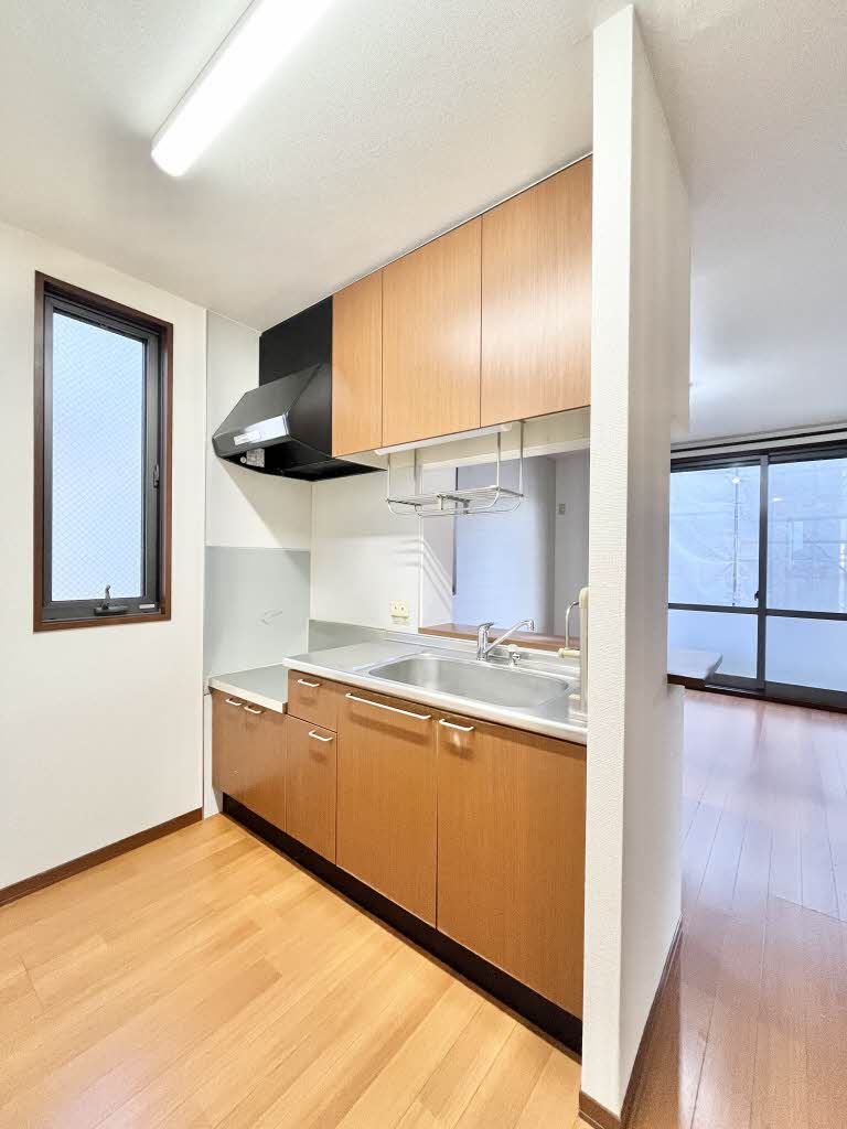 ココナッツハウスⅡ 0101号-10