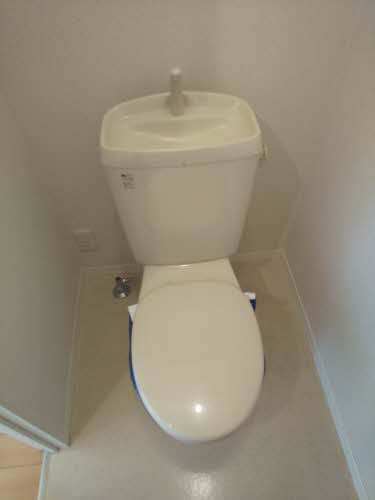 シャーメゾン桜 B101号-5