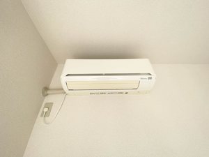 メゾン・ド・エフⅠ 0101号-13