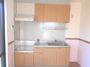 スカイヴィレッジ M101号-5