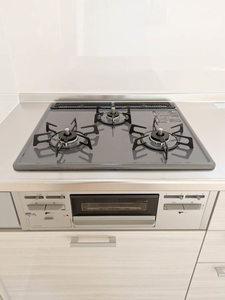 スカイヴィレッジ P202号-5