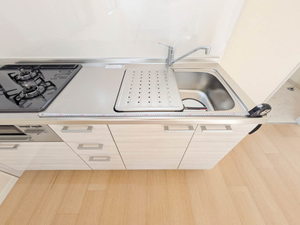 スカイヴィレッジ P202号-6